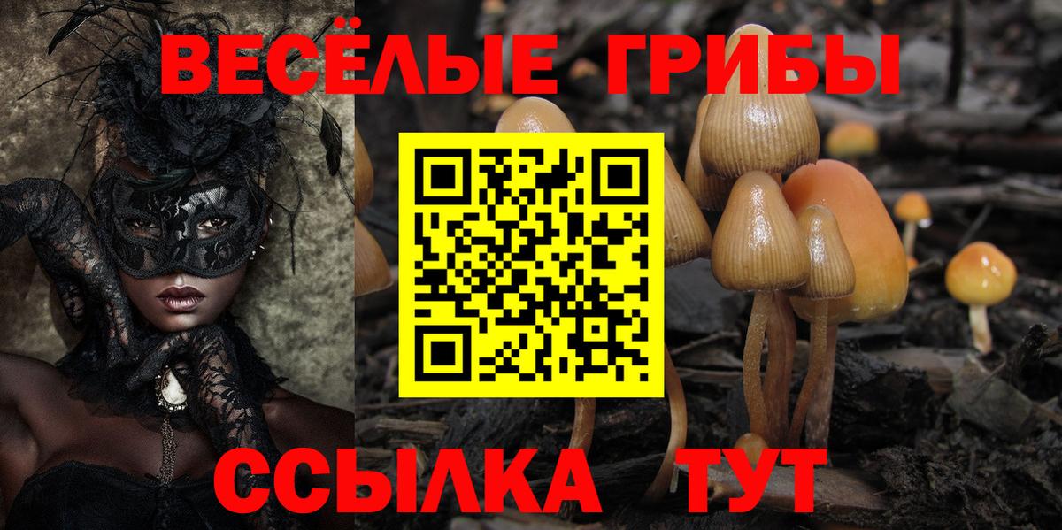 Псилоцибиновые грибы Magic Shrooms Гусь-Хрустальный